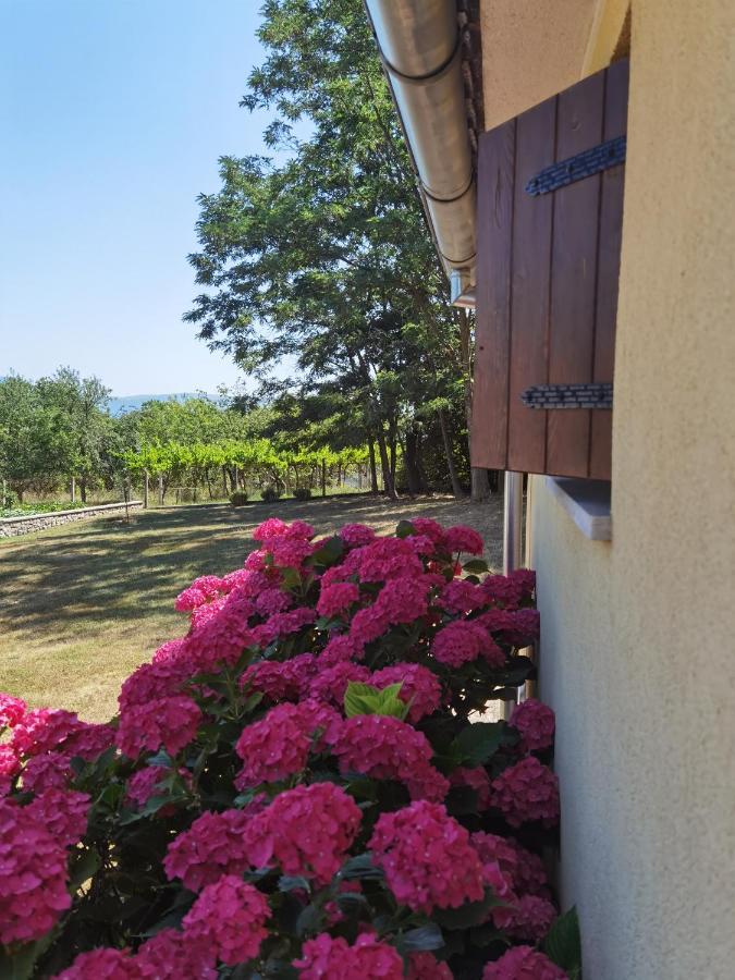 Apartment Luce Pićan Zewnętrze zdjęcie